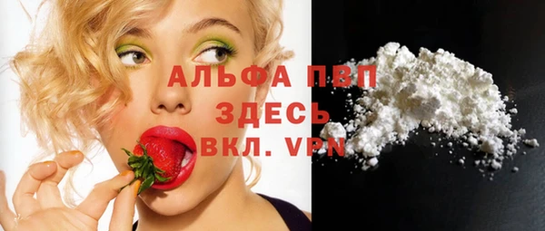 ECSTASY Каменка