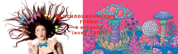 трава Каменногорск