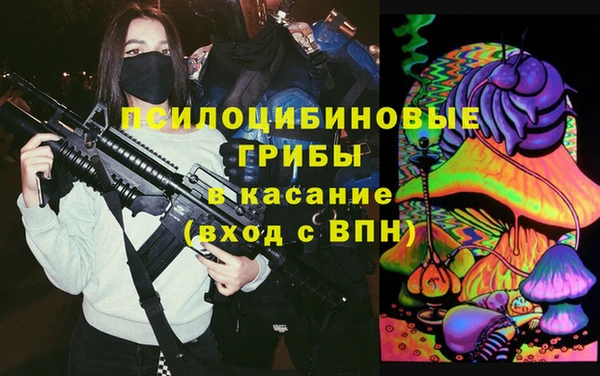 ECSTASY Каменка