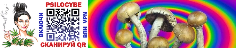 Купить  Люберцы  Галлюциногенные грибы Psilocybine cubensis 